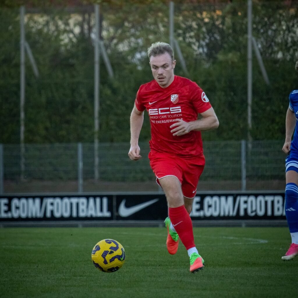 Bayernliga Süd: Den nächsten Schritt machen