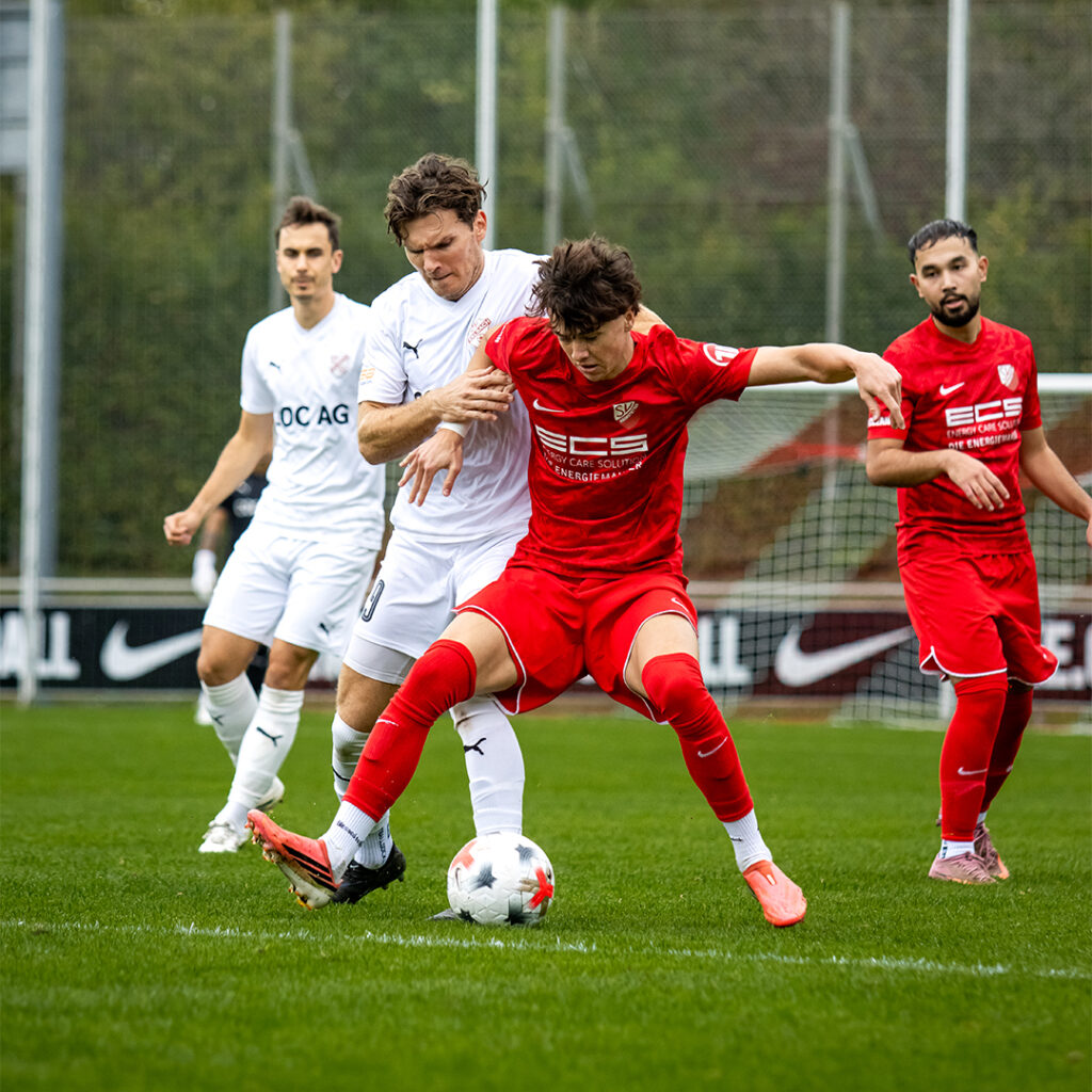 Bayernliga Süd: Punkteteilung im ATS Sportpark